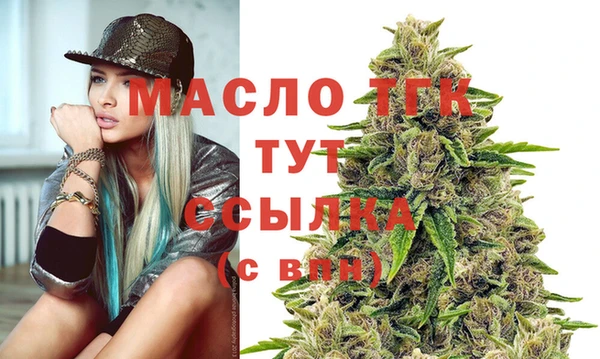 спиды Каменка