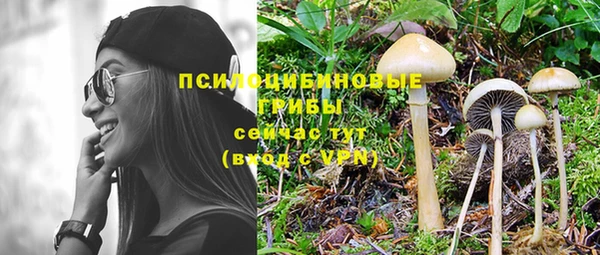 спиды Иннополис