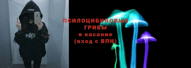mdma Инсар