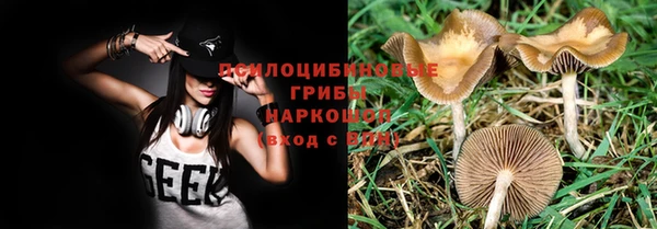 спиды Иннополис