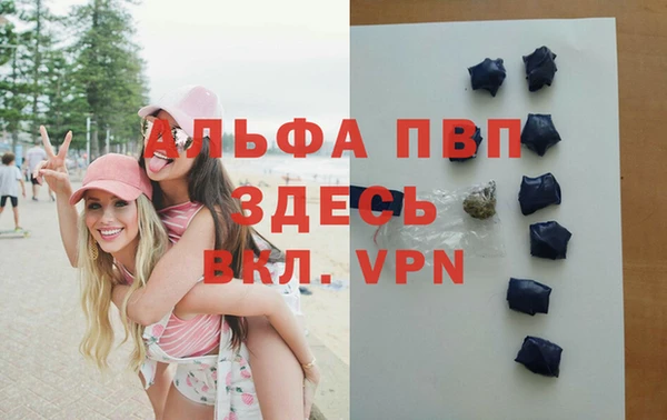 спиды Иннополис