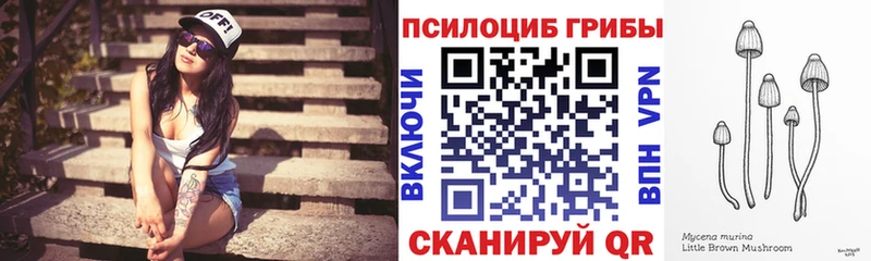 Купить  Клинцы  Галлюциногенные грибы прущие грибы 